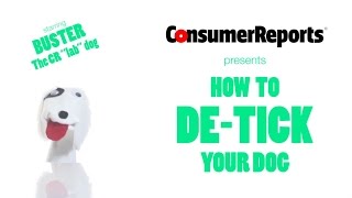 How to Safely quotDeTickquot Your Dog  Consumer Reports [upl. by Thatch205]