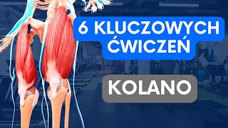 NAJLEPSZE Ćwiczenia Dla Biegaczy  Kolano  Czworogłowy [upl. by Neenahs]