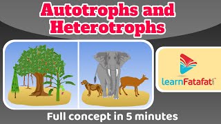 Class 7 Science Chapter 1 Nutrition in Plants  Autrotrophs and Heterotrophs  CBSE  Learnfatafat [upl. by Talia]