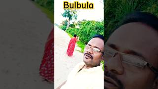 Bulbula re bulbula shorts tiktok youtube trending [upl. by Tessie]