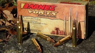 AMMO REVIEW 223 Barnes VORTX 55 gr TSX Copper [upl. by Mandelbaum]