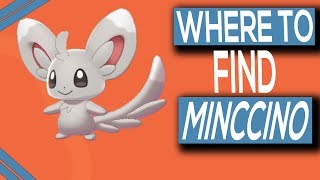 Where To Find Minccino In Pokemon Sword amp Shield [upl. by Eleanor]