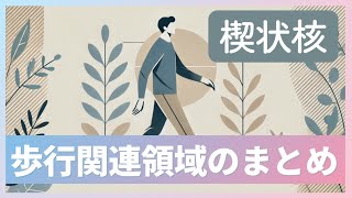 【歩行障害】楔状核の機能歩行誘発野とは？リハビリテーション [upl. by Leeda]