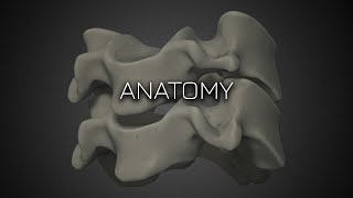 Cervical Spine Radiographic Anatomy  Featured Video [upl. by Navnod]