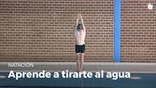 Aprende a tirarte al agua en la piscina [upl. by Puto]