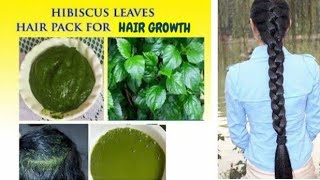 Hair Growth With Hibiscus Leaves amp Stop Hair Loss hairgrowth 2024 [upl. by Serle948]