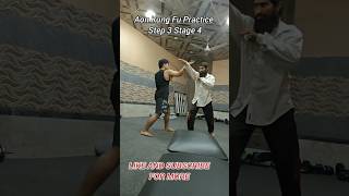 Aon Kung Fu Practice Step 3 Stage 4 kungfufighting shorts [upl. by Eeryt]