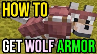 How To Get Wolf Armor In Minecraft  Bedrock amp Java [upl. by Steve]