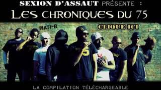 Sexion Dassaut  Les Chroniques Du 75  2008 MIXTAPE [upl. by Wynny987]