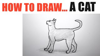 How to Draw a Cat [upl. by Anaeel635]