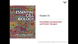 Intracellular compartments and Transport [upl. by Camp]