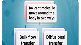 Toxicokinetics [upl. by Ahseral67]