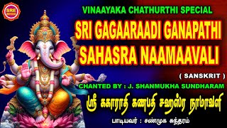 VINAYAKAR CHATHURTHI SPECIAL  GAGAARAADI GANAPATHI SAHASRA NAAMAAVALI  ககாராதி கணபதி சஹஸ்ரநாமாவளி [upl. by Annaoi350]