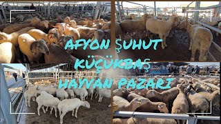 AFYON ŞUHUT KÜÇÜK BAŞ HAYVAN PAZARI  KURBANLIK KUZU FİYATLARI 25052024 [upl. by Madge]