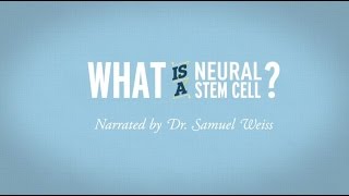 Human Neural Stem Cell Efficacy and Repair  Aileen Anderson [upl. by Anitahs769]