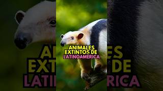 🦕🌎 Animales Extintos de Latinoamérica 🦖 [upl. by Etnor9]