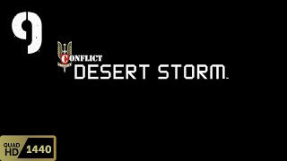 Patriotic Defense  Conflict Desert Storm  PC  No Commentary Walkthrough amp Gameplay 9 [upl. by Zysk]