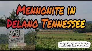 DELANO TENNESSEEMENNONITE COMMUNITY [upl. by Shanahan]