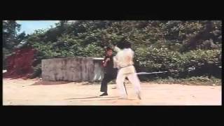 Bruce Lee vs Bob Wall [upl. by Melak576]