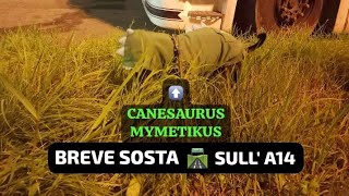 05112024SOSTA DI CIRCA 30 MIN quotNella comunity YT le foto in A14 del quotSAURUSMYMETYKUS🦖quot [upl. by Aztin]