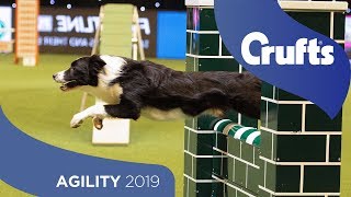 Agility  Championship Final  ​Crufts 2019 [upl. by Simeon]