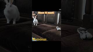 🌜🌙🐰🐰Moon ki masti [upl. by Assirok]