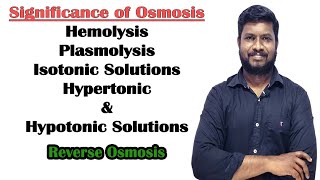 14Hemolysis  Plasmolysis  Isotonic solutions  Hypertonic amp Hypotonic solutions  Reverse osmosis [upl. by Cahn]