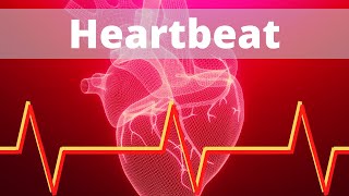 Heart Beat Sound Effect Free [upl. by Chapman]