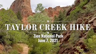 Taylor Creek Hike Zion National Park [upl. by Alyal]