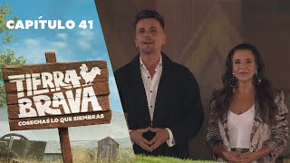 Tierra Brava  Capítulo 41  Canal 13 [upl. by Dibbrun]