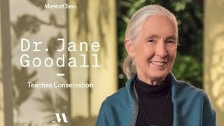 Dr Jane Goodall Teaches Conservation  Official Trailer  MasterClass [upl. by Aleet]