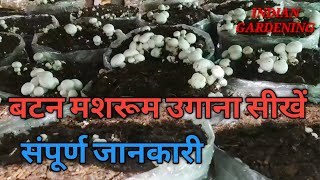 श्वेत बटन मशरूम खुम्ब कैसे उगायेMushroom Cultivation Full Training in Hindi [upl. by Gerita]