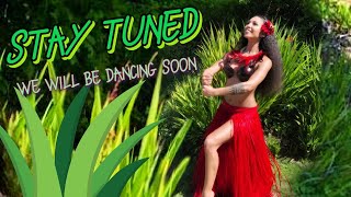 Tahitian Dance  Ote’a Basics  Learn to dance with Leolani  Beginnger dance lesson [upl. by Airotkciv]