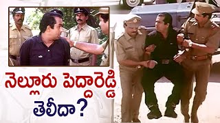 Brahmanandams Nelluru Pedha Reddy Comedy  Anaganaga Oka Roju Comedy Scenes  Brahmi Comedy Scenes [upl. by Ahsiuqram]