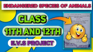 Endangered Species Of AnimalsEVS ProjectClass 11thFull Description [upl. by Oglesby]