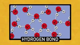 The Chemistry of Water  Chemistry Basics [upl. by Odranoel]