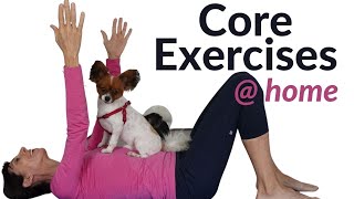 Easy Core Exercises for BeginnersIntermediate Home Routine 20 Minutes [upl. by Artenehs]