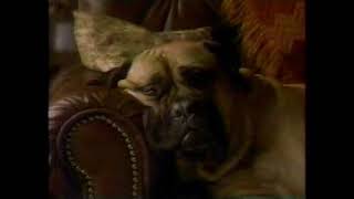 Milk Bone Dog Treats Commercial 1993 [upl. by Cirda75]