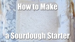 How To Make A Sourdough Starter  Video Recipe [upl. by Chad]