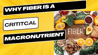 Why Fiber Is Critical For Your Overall Health And Longevity [upl. by Stuart]