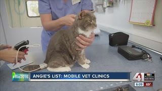 Angies List Mobile vet clinics [upl. by Helbonna362]