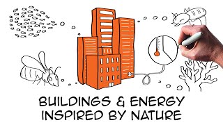 5 amazing biomimicry examples providing real sustainability solutions  Architecture Building Energy [upl. by Dorothi320]