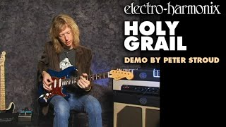 ElectroHarmonix Holy Grail Reverb Pedal Demo by Peter Stroud [upl. by Eilitan]