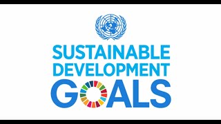 A Look at the Sustainable Development Goals [upl. by Dollie683]