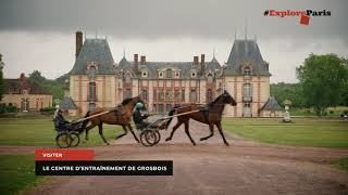 Visites guidées au domaine de Grosbois  château et centre dentrainement des chevaux trotteurs [upl. by Anaele241]