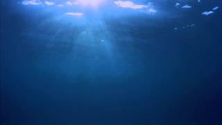 Underwater FREE Video Background 1080p [upl. by Schrick]