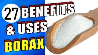 27 Brilliant Uses amp Health Benefits of Borax For Around the House [upl. by Ledeen476]