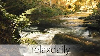 Music for Studying Concentration and Reading relaxing  relaxdaily N°099 [upl. by Nnairrehs]