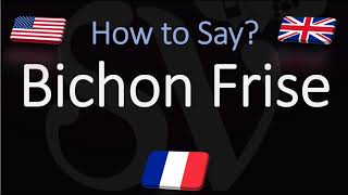 How to Pronounce Bichon Frisé CORRECTLY English French Dog Breed Pronunciation [upl. by Alekat748]