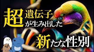 【解説】超遺伝子とY染色体と4つの性別【 進化論  科学  性教育 】 [upl. by Lamok16]